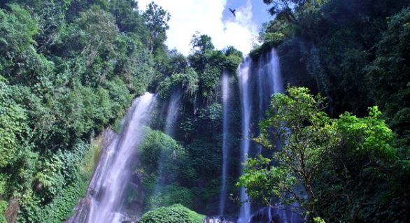 Air Terjun Sekumpul Surga Dunia Di Tengah Hutan Buleleng Bali Utara