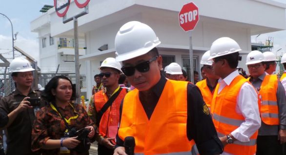 Harapan Jonan Pada Jangkrik